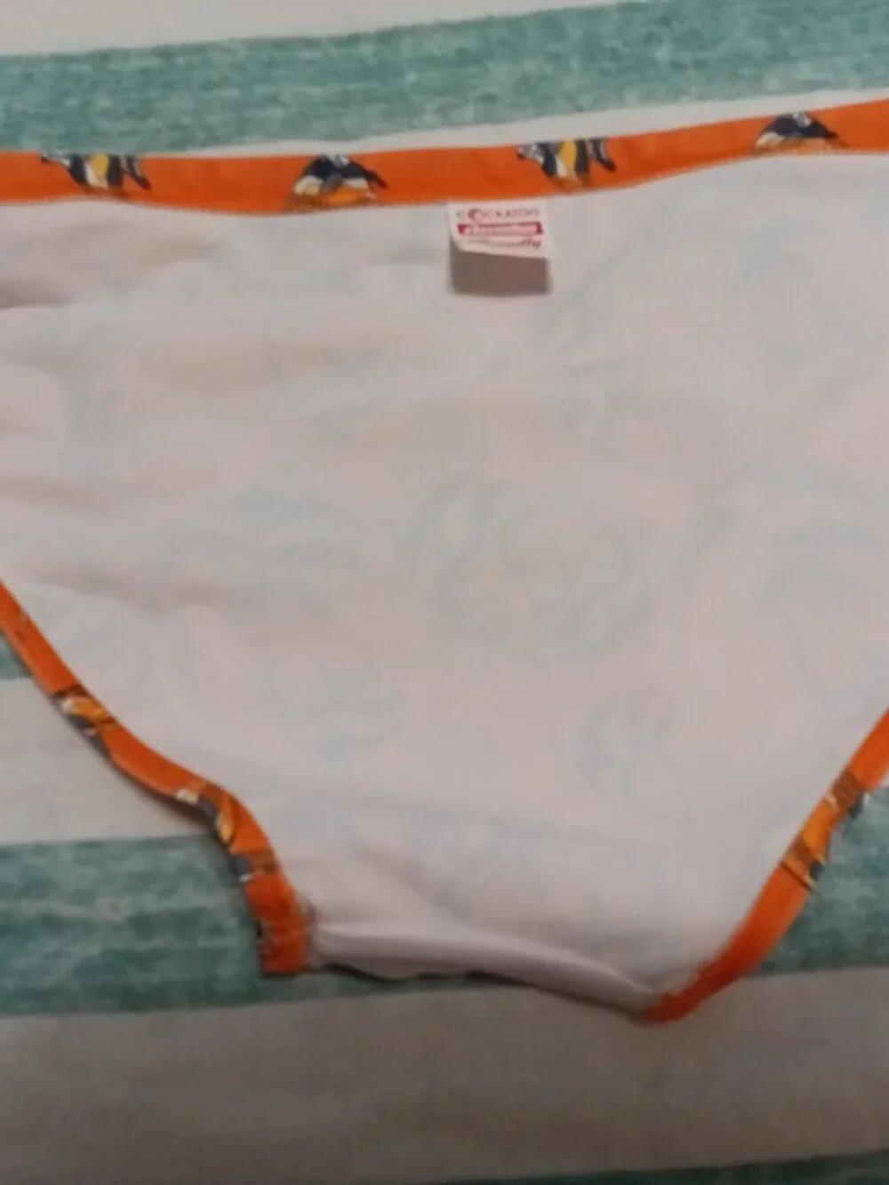 LIKE-NEW AUSSIEBUM 